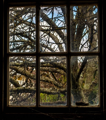 Looking OutPhotography by Colleen Johnson